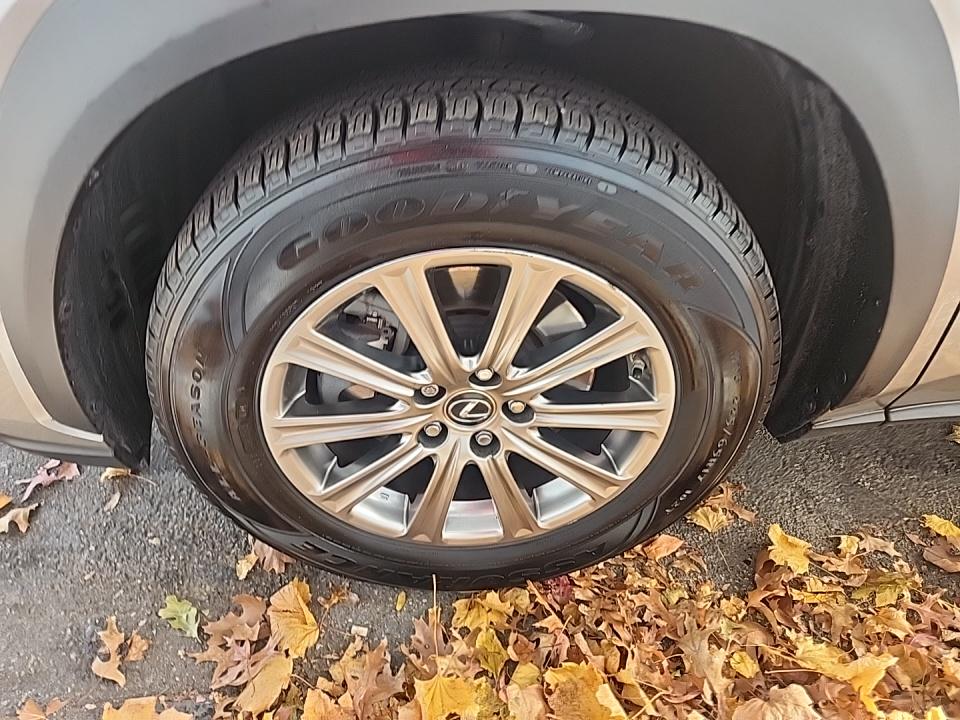 2020 Lexus NX NX 300h AWD