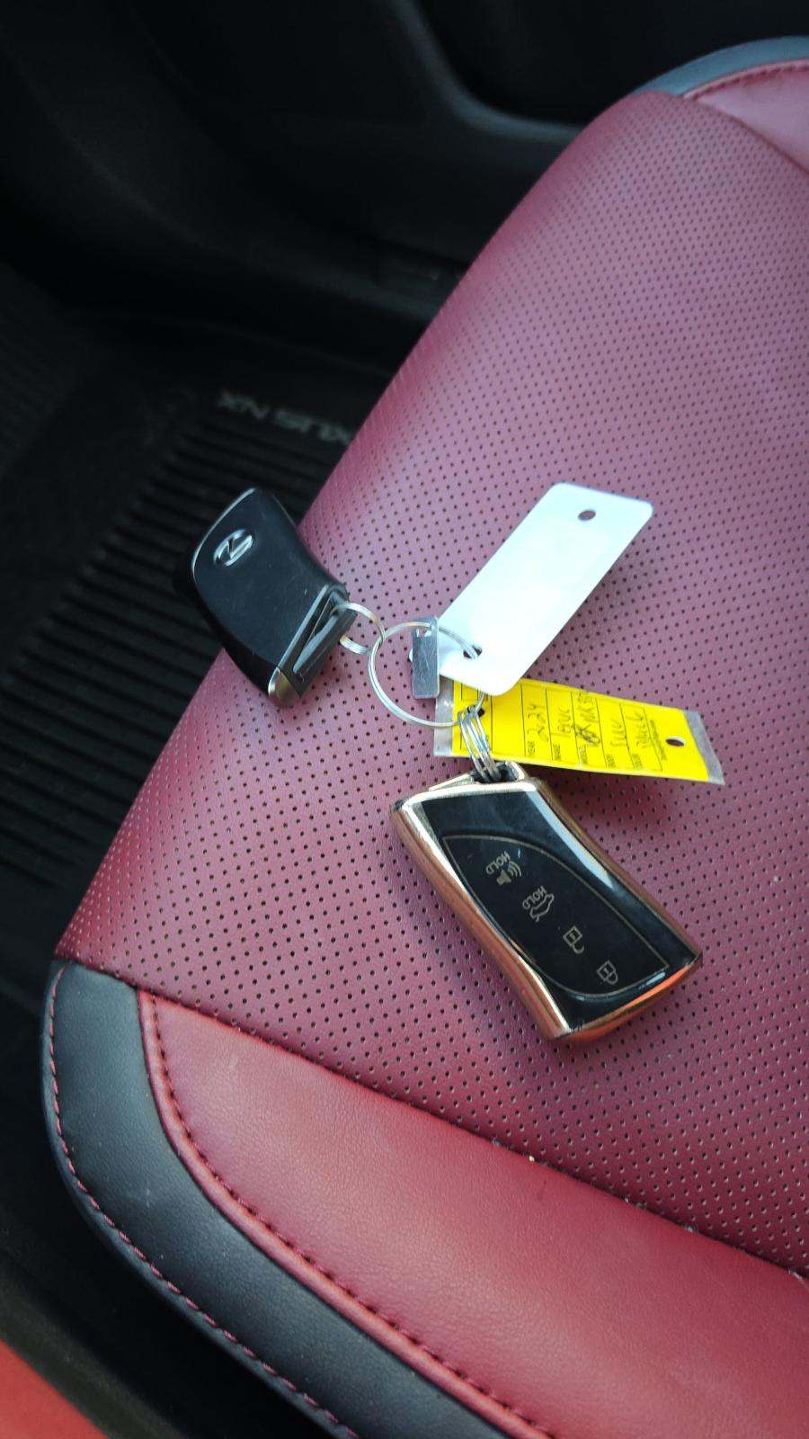 2024 Lexus NX NX 350 AWD