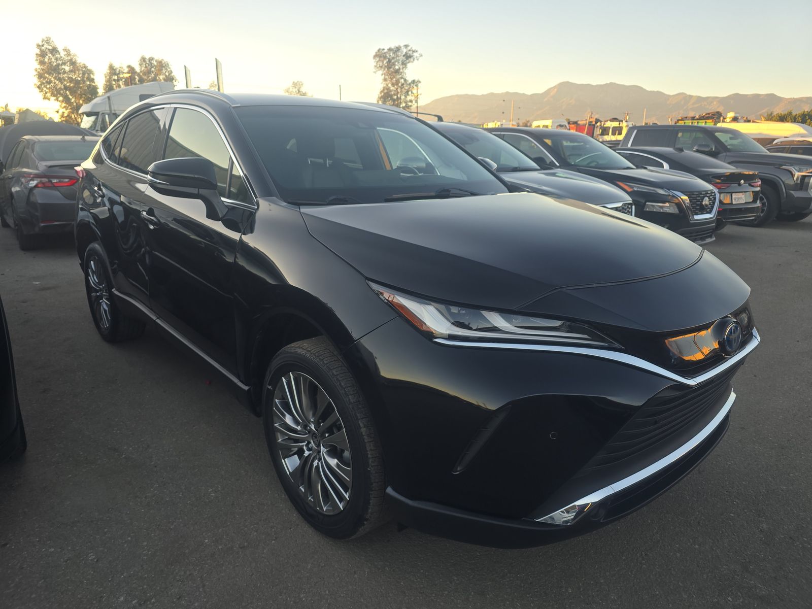 2022 Toyota Venza XLE AWD