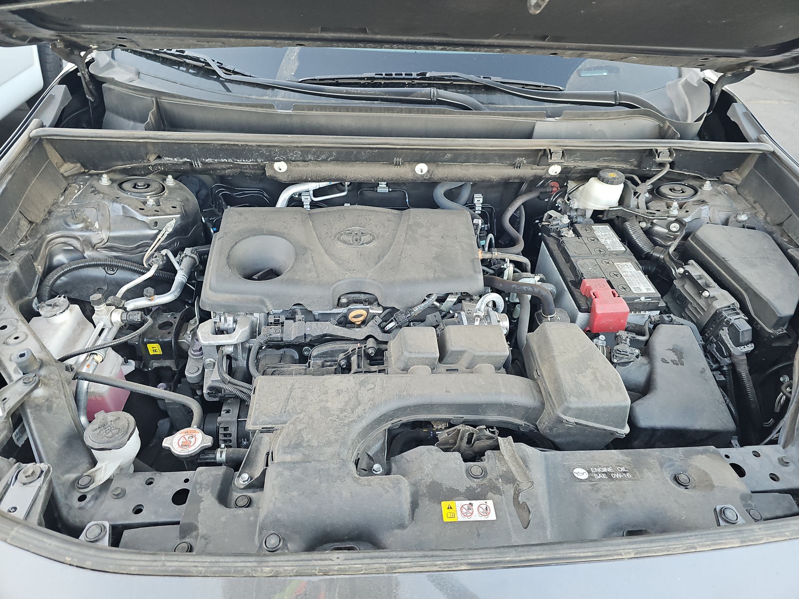 2023 Toyota RAV4 XLE AWD