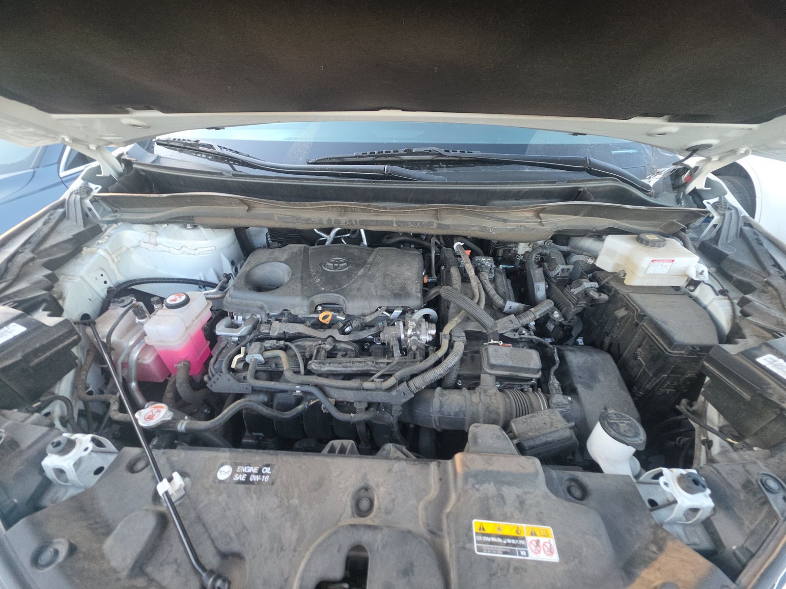 2024 Toyota Sienna XLE FWD