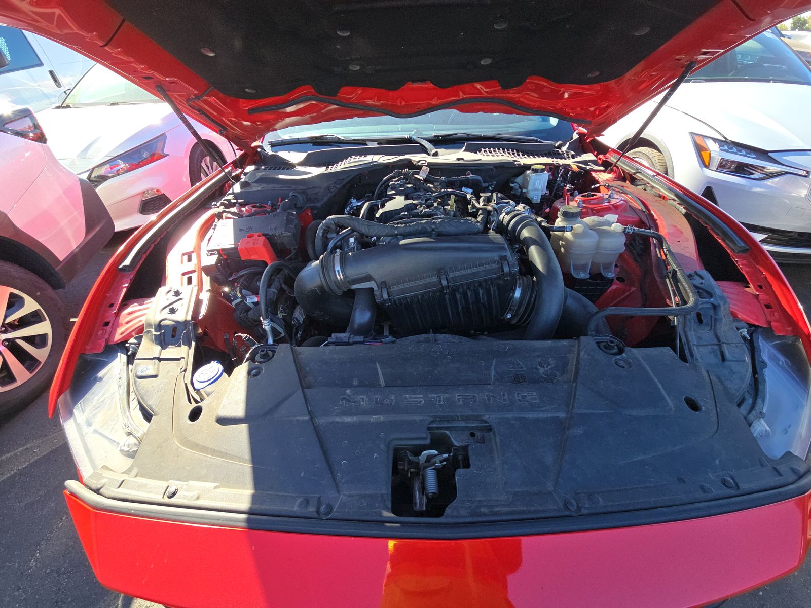 2024 Ford Mustang EcoBoost RWD