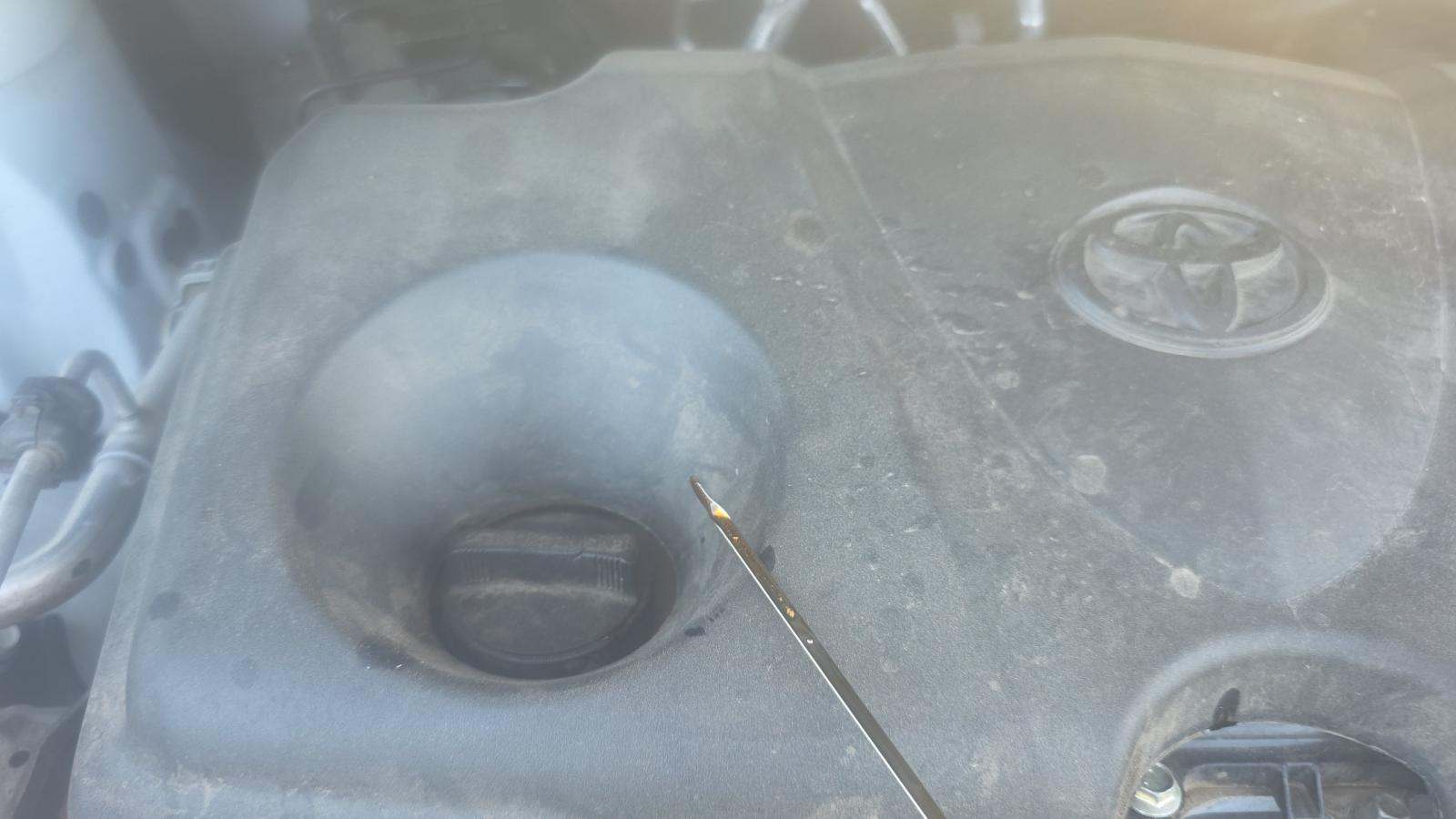 2024 Toyota Sienna XLE FWD