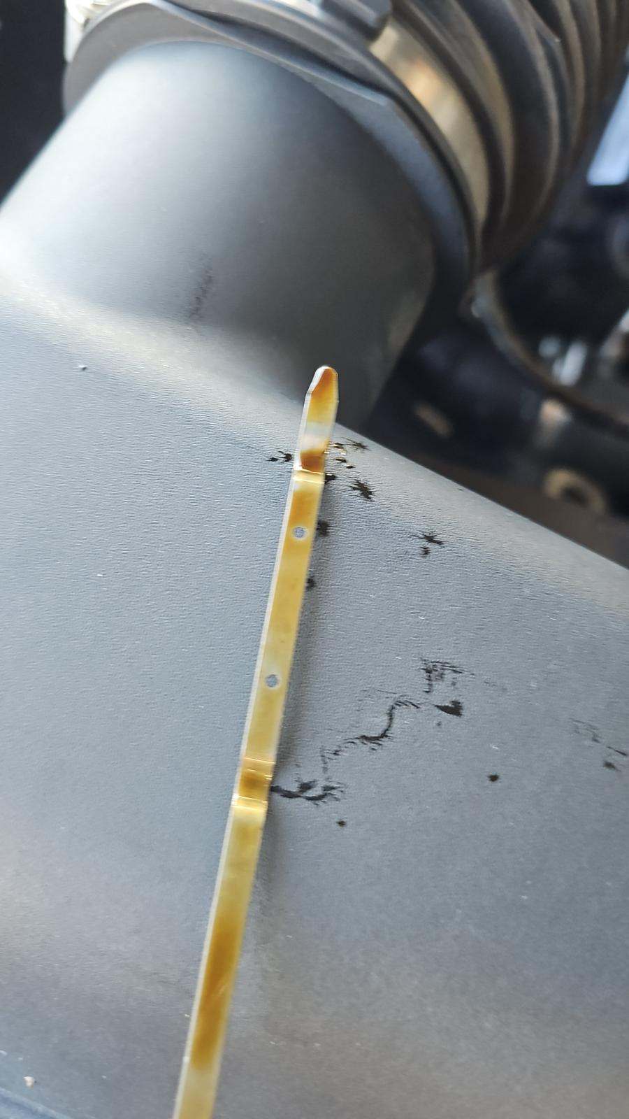 2023 Ford F-150 XLT RWD