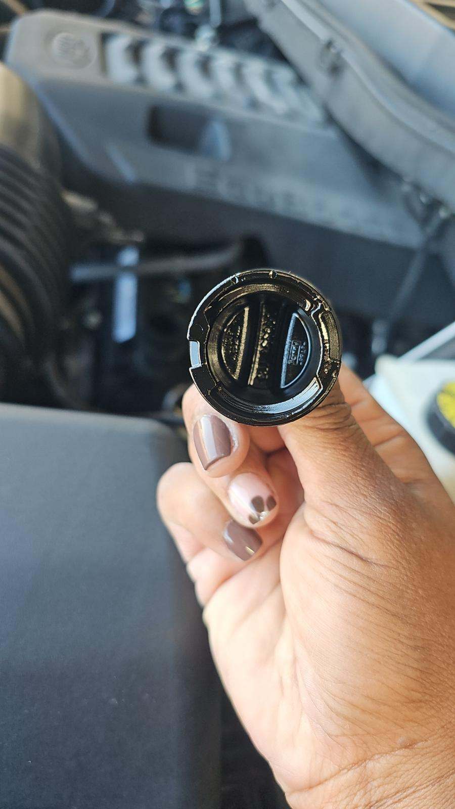 2023 Ford F-150 XLT RWD