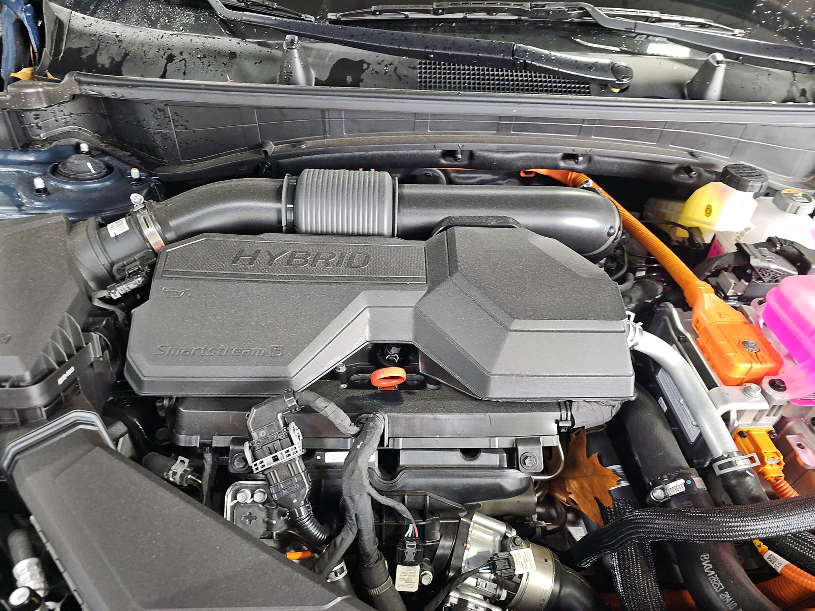 2025 Kia Sportage Hybrid EX AWD