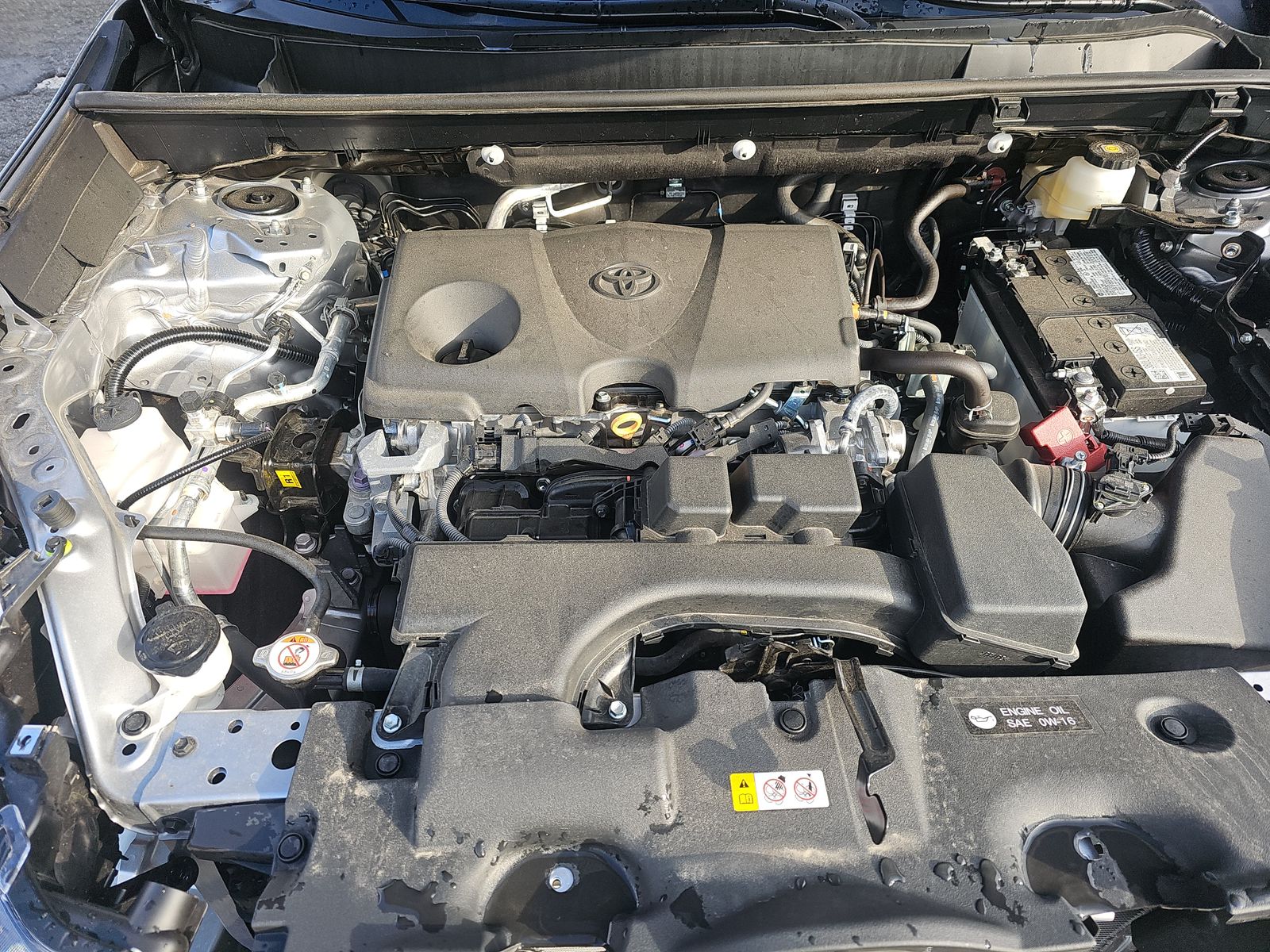 2025 Toyota RAV4 XLE FWD