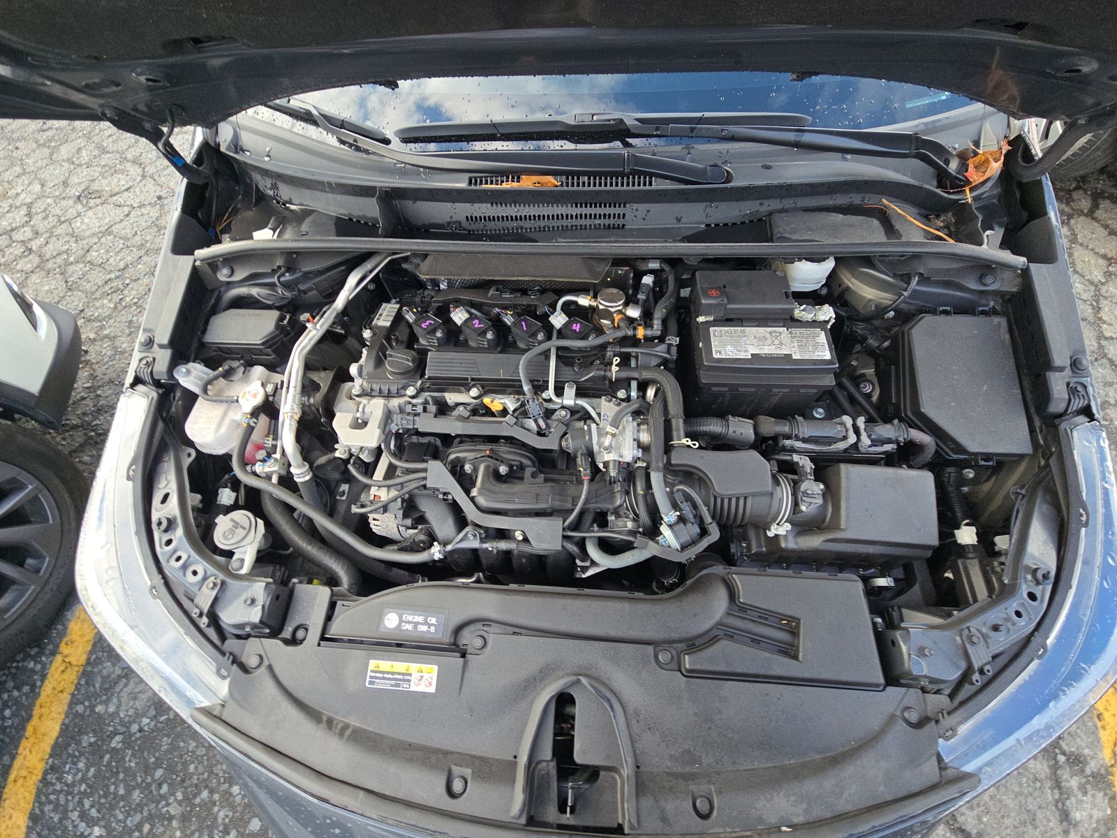 2024 Toyota Corolla XSE FWD