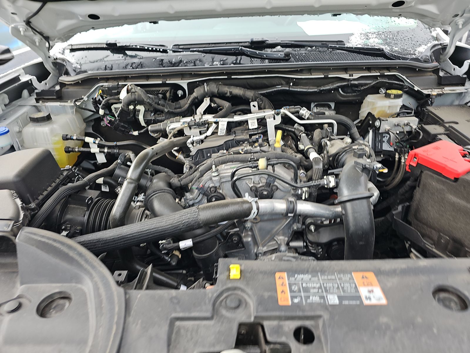 2025 Ford Ranger XLT AWD