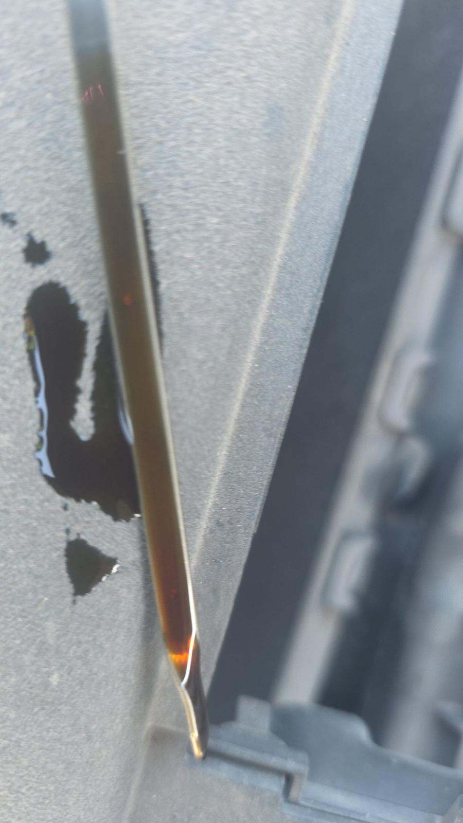 2023 Toyota RAV4 LE AWD