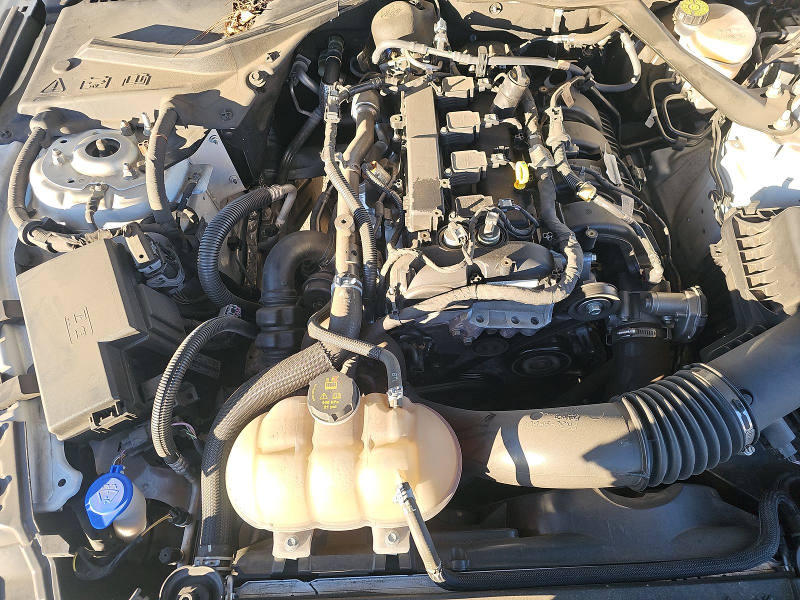 2023 Ford Mustang EcoBoost FWD