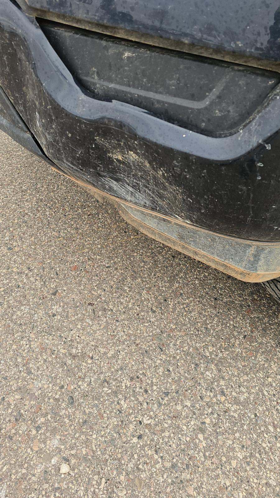 2023 Ford F-150 XL RWD