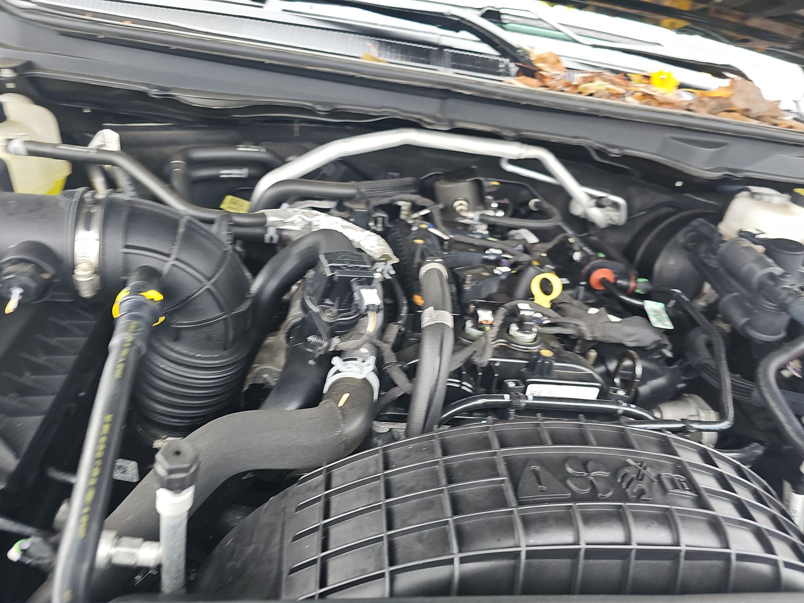 2023 Ford Ranger XLT AWD