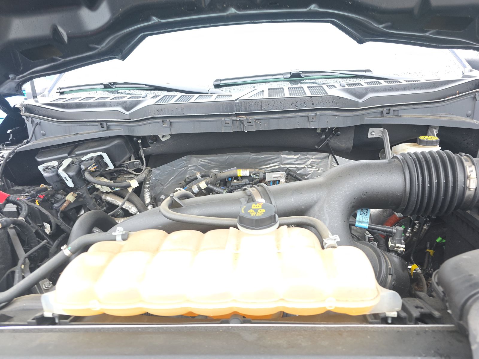 2023 Ford F-150 XL AWD