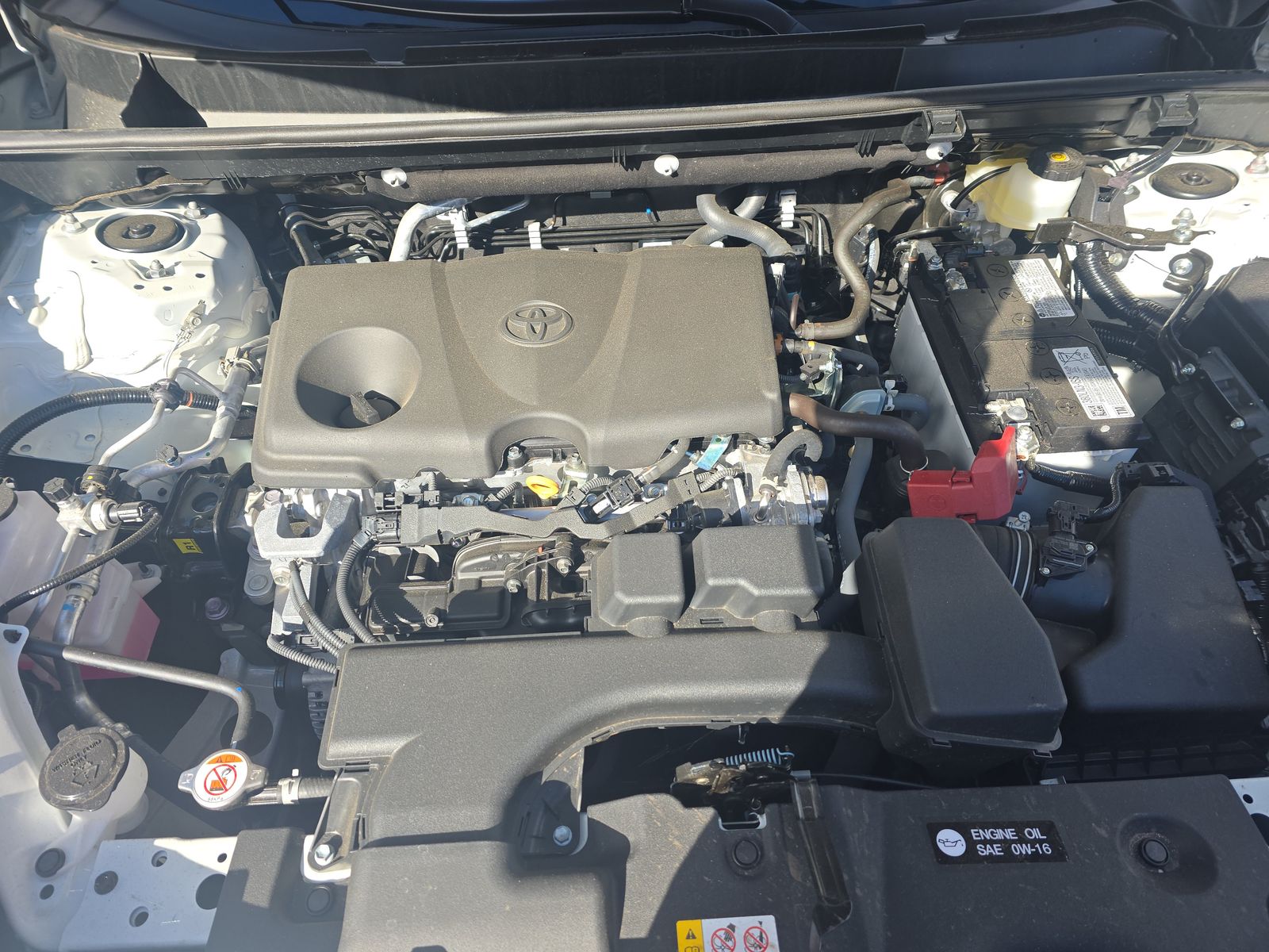 2025 Toyota RAV4 XLE FWD