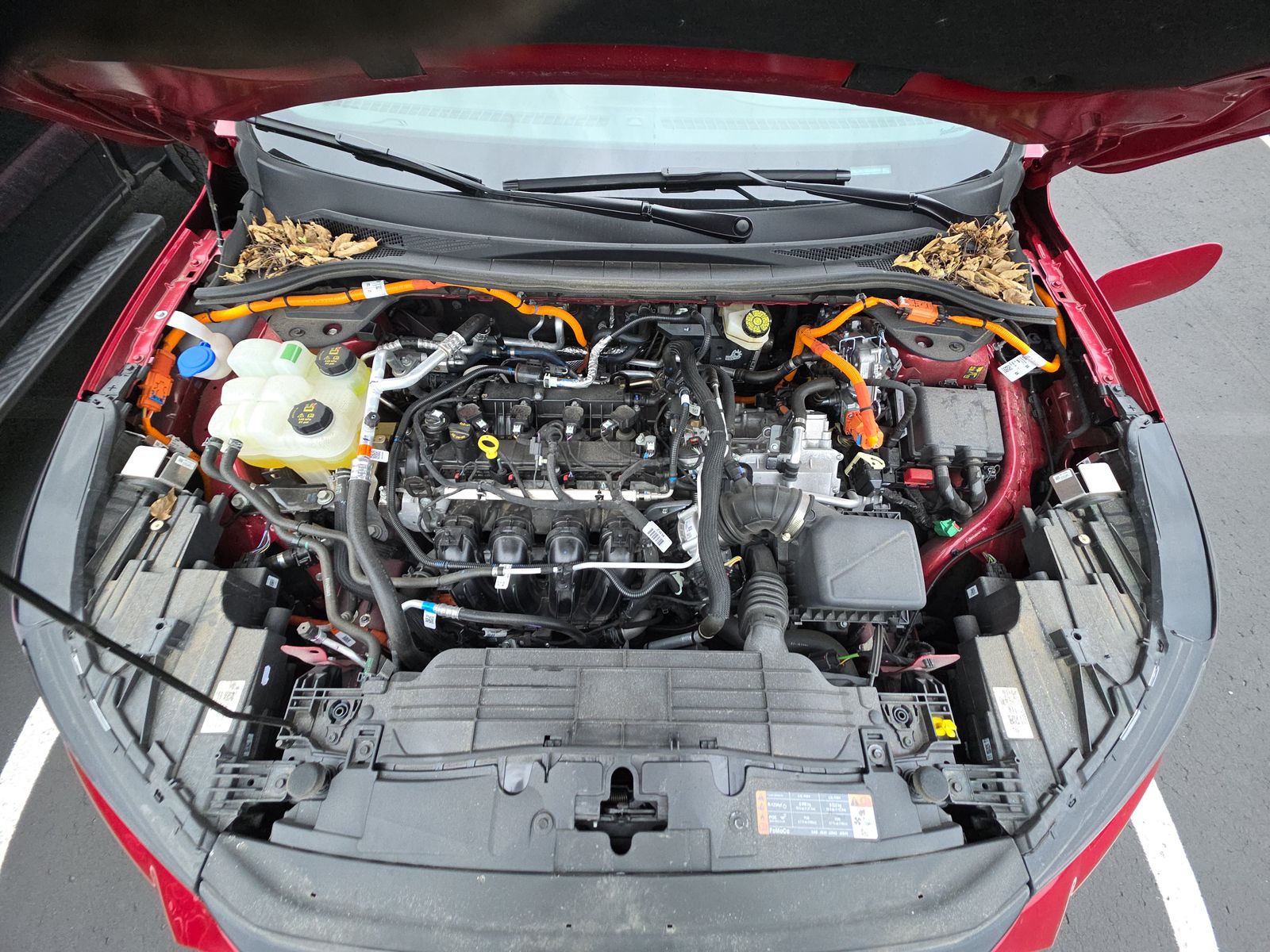 2025 Ford Escape Plug-In Hybrid FWD