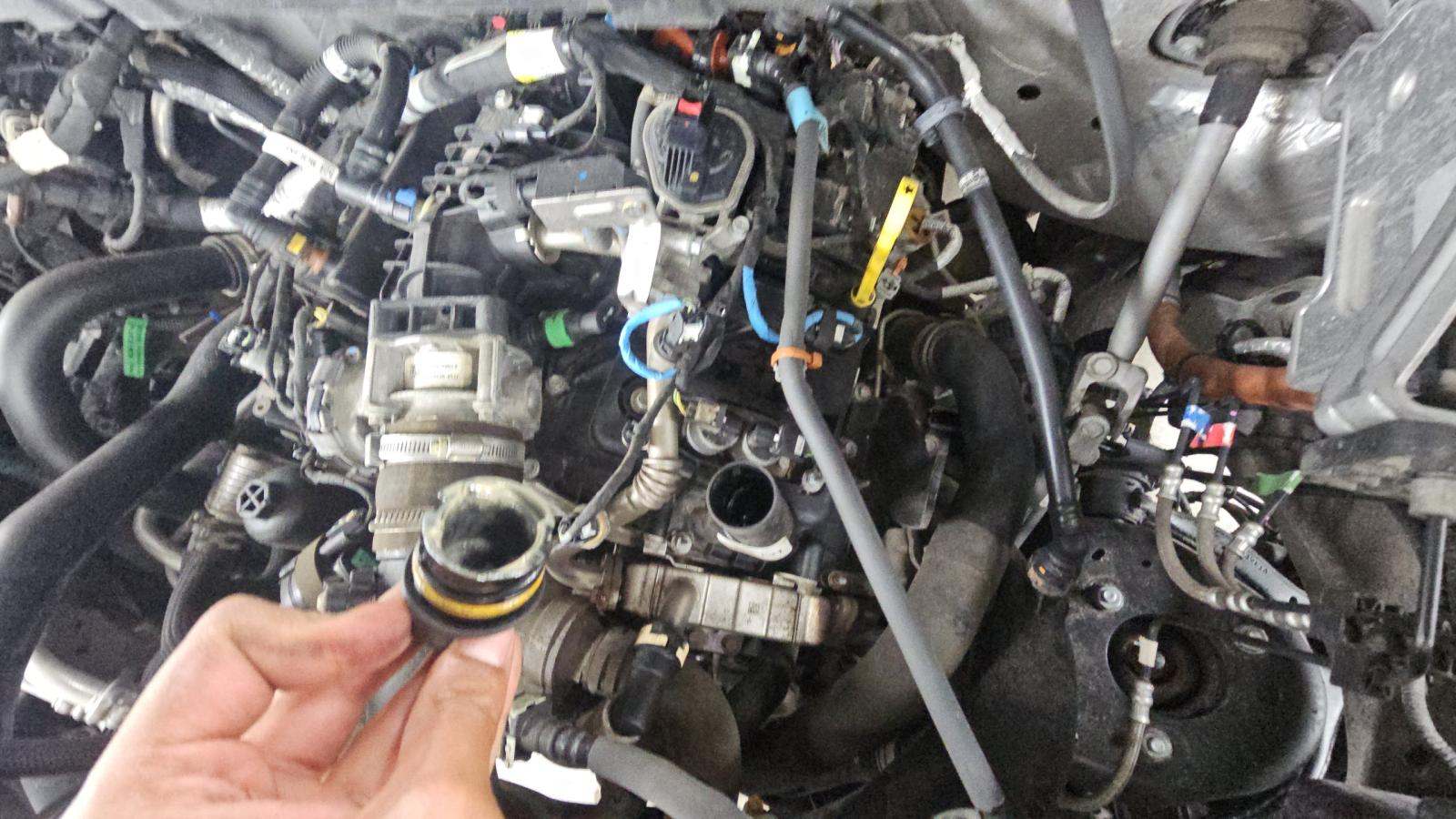 2021 Ford F-150 XLT AWD