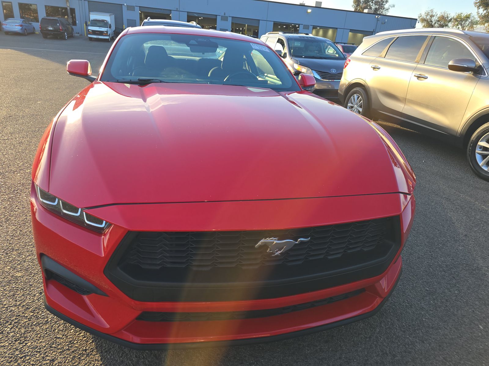 2024 Ford Mustang EcoBoost RWD