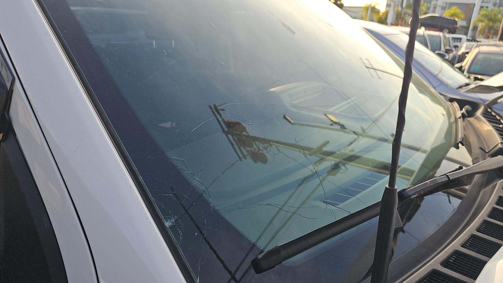 2024 Ford F-150 XL AWD