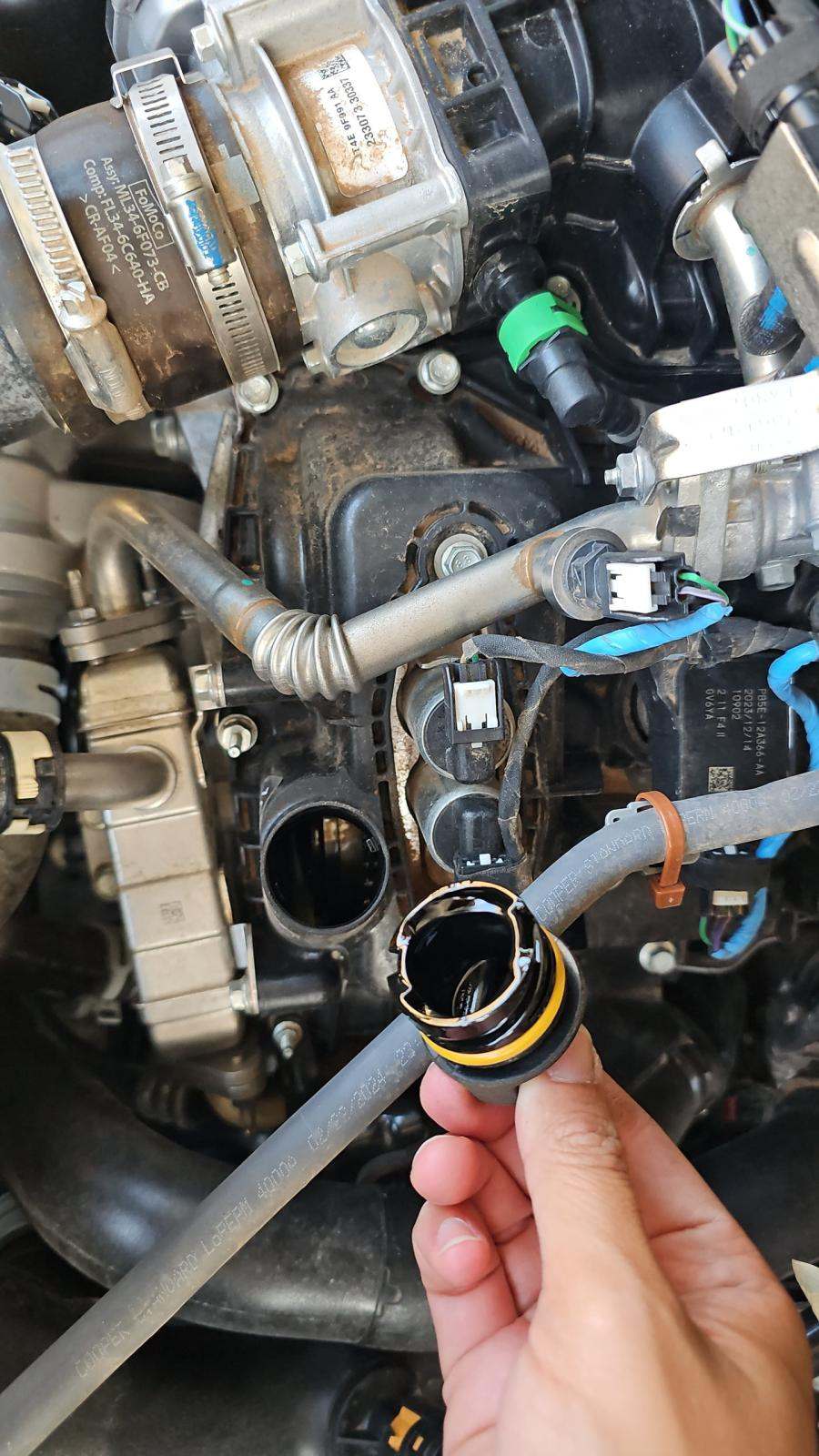 2024 Ford F-150 XL AWD