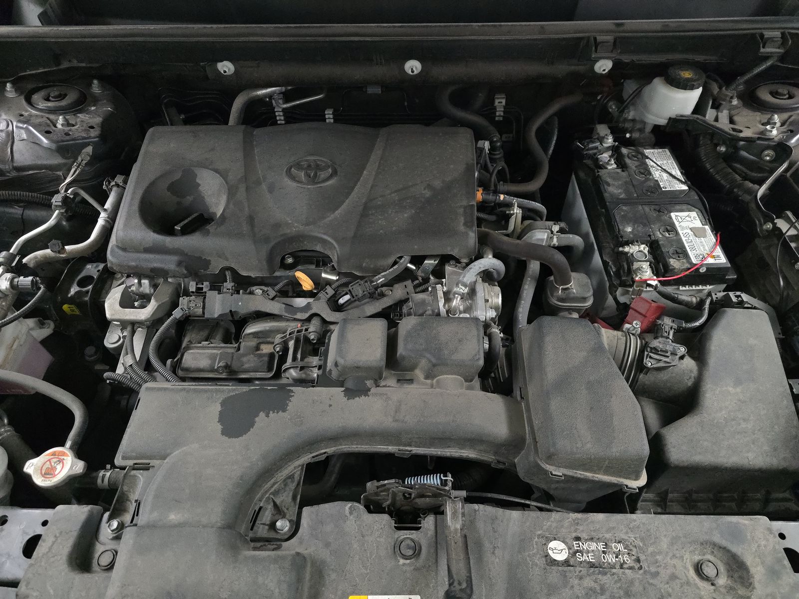 2023 Toyota RAV4 LE AWD