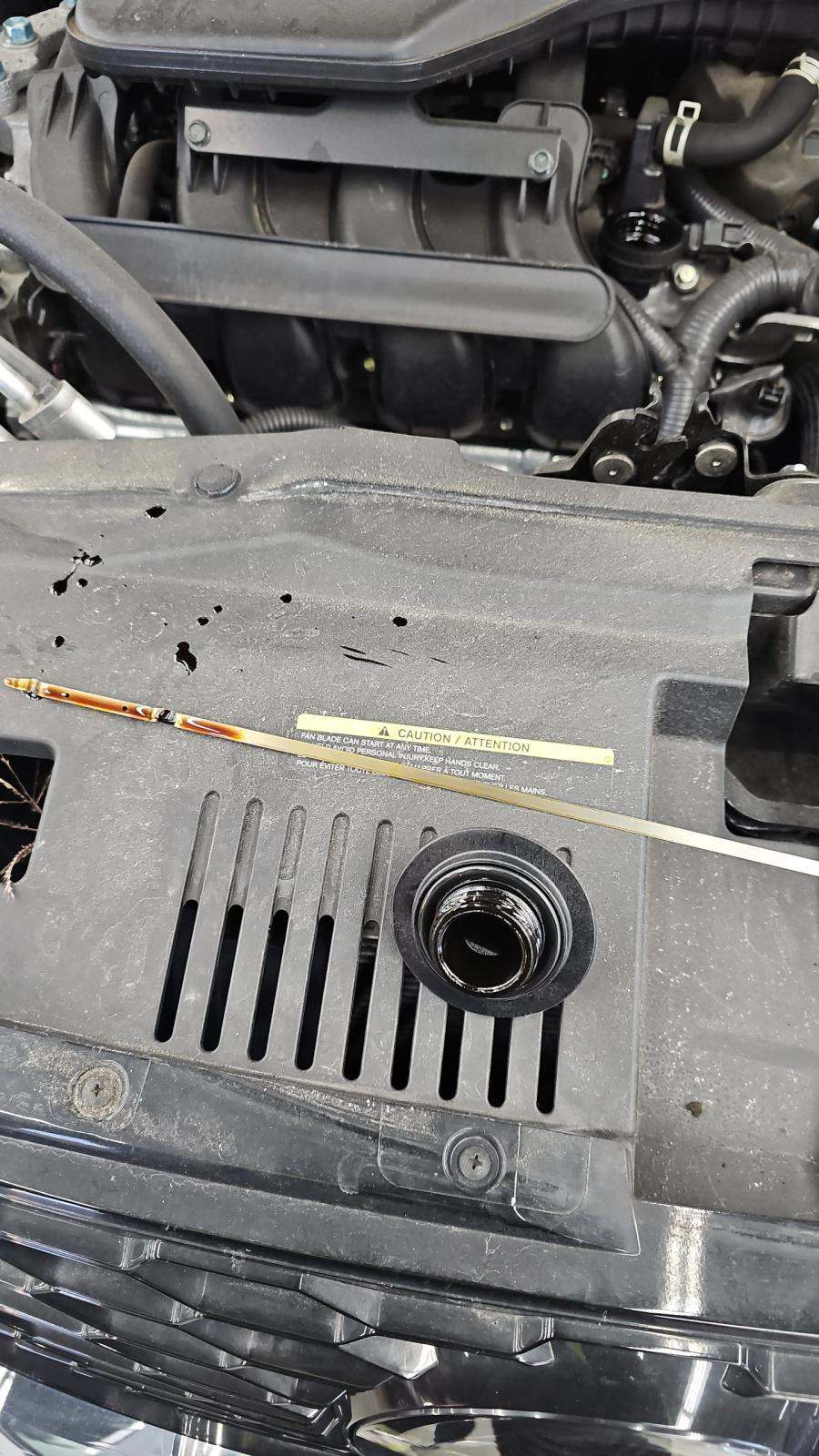 2022 Nissan Rogue Sport SL AWD