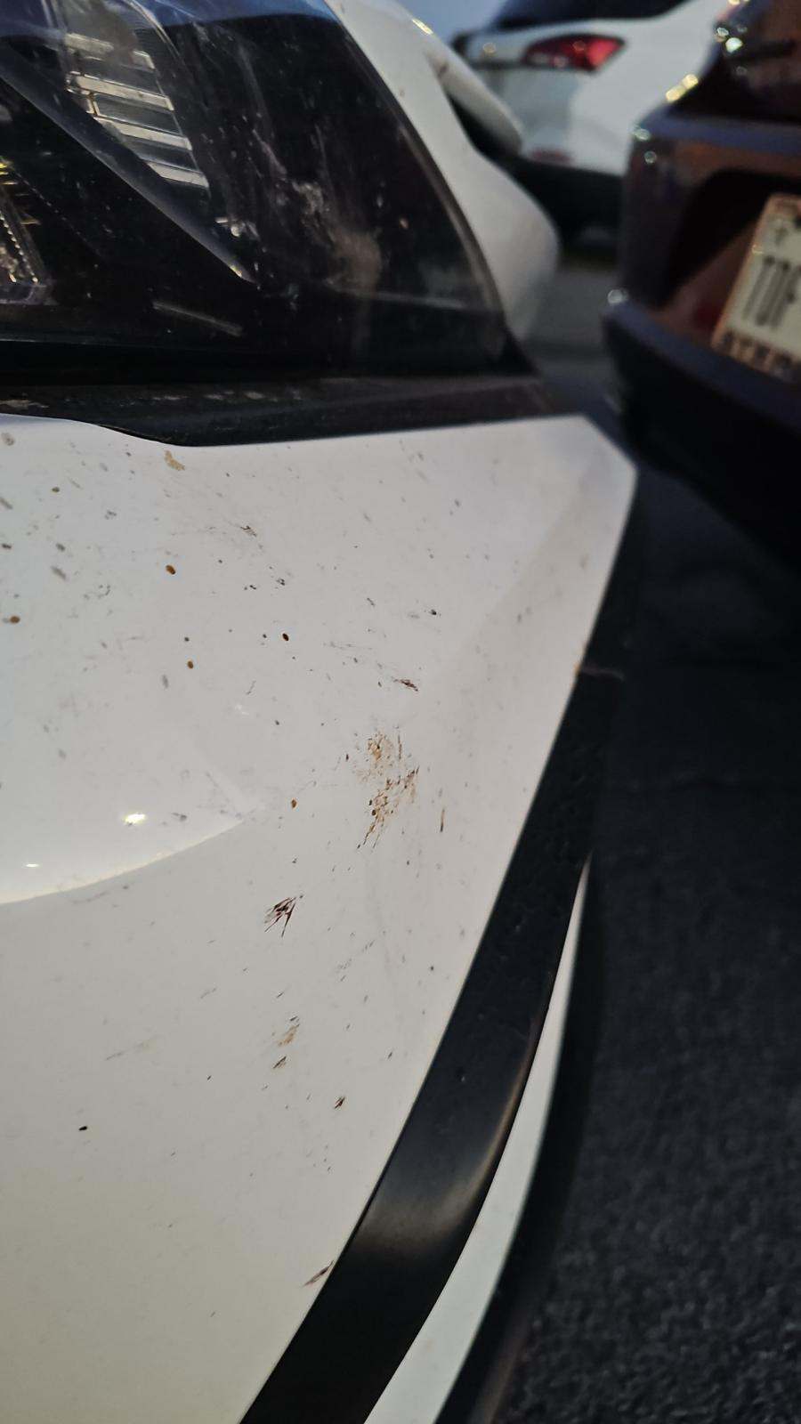 2024 Toyota Camry SE FWD