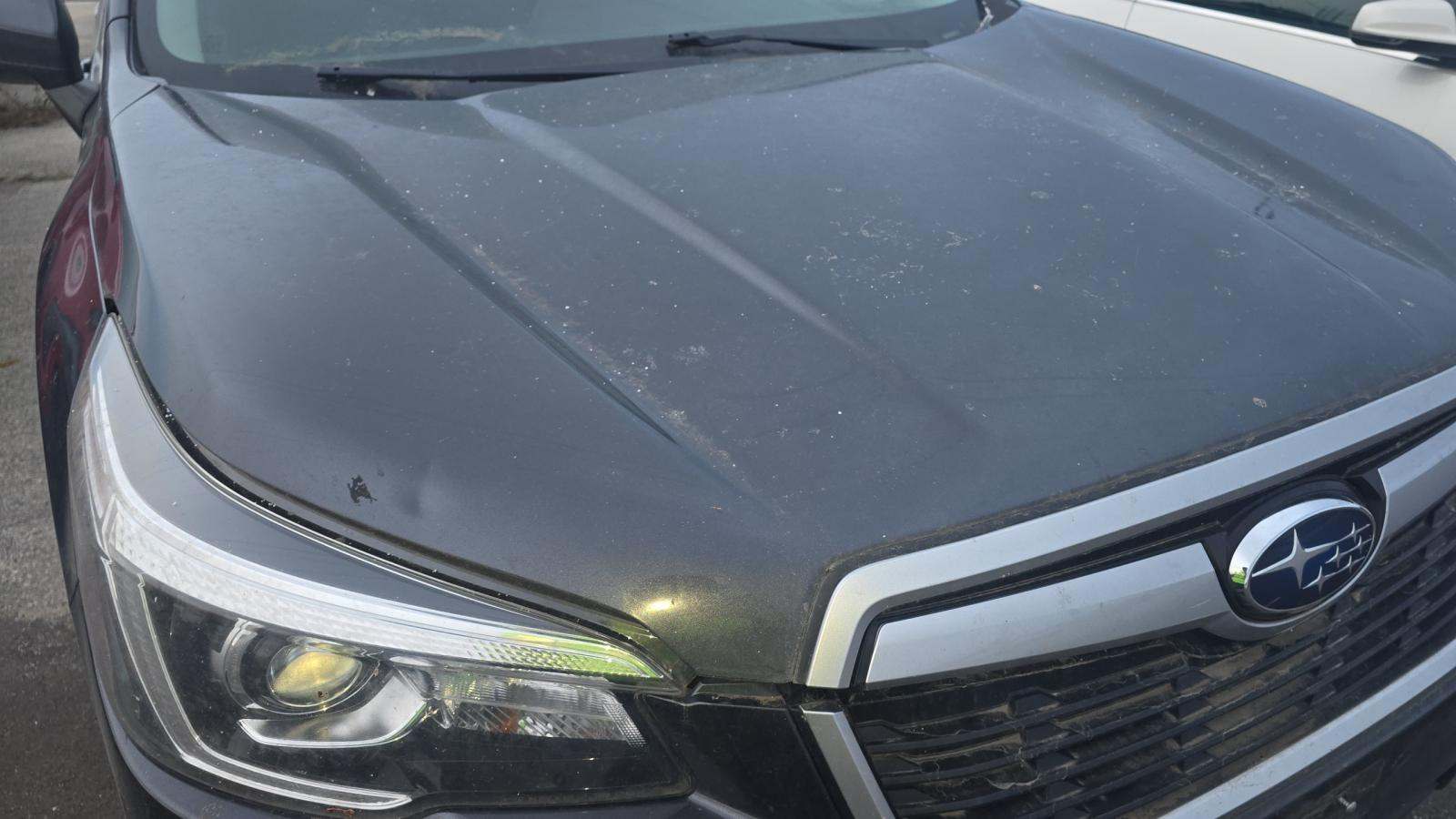 2019 Subaru Forester Premium AWD