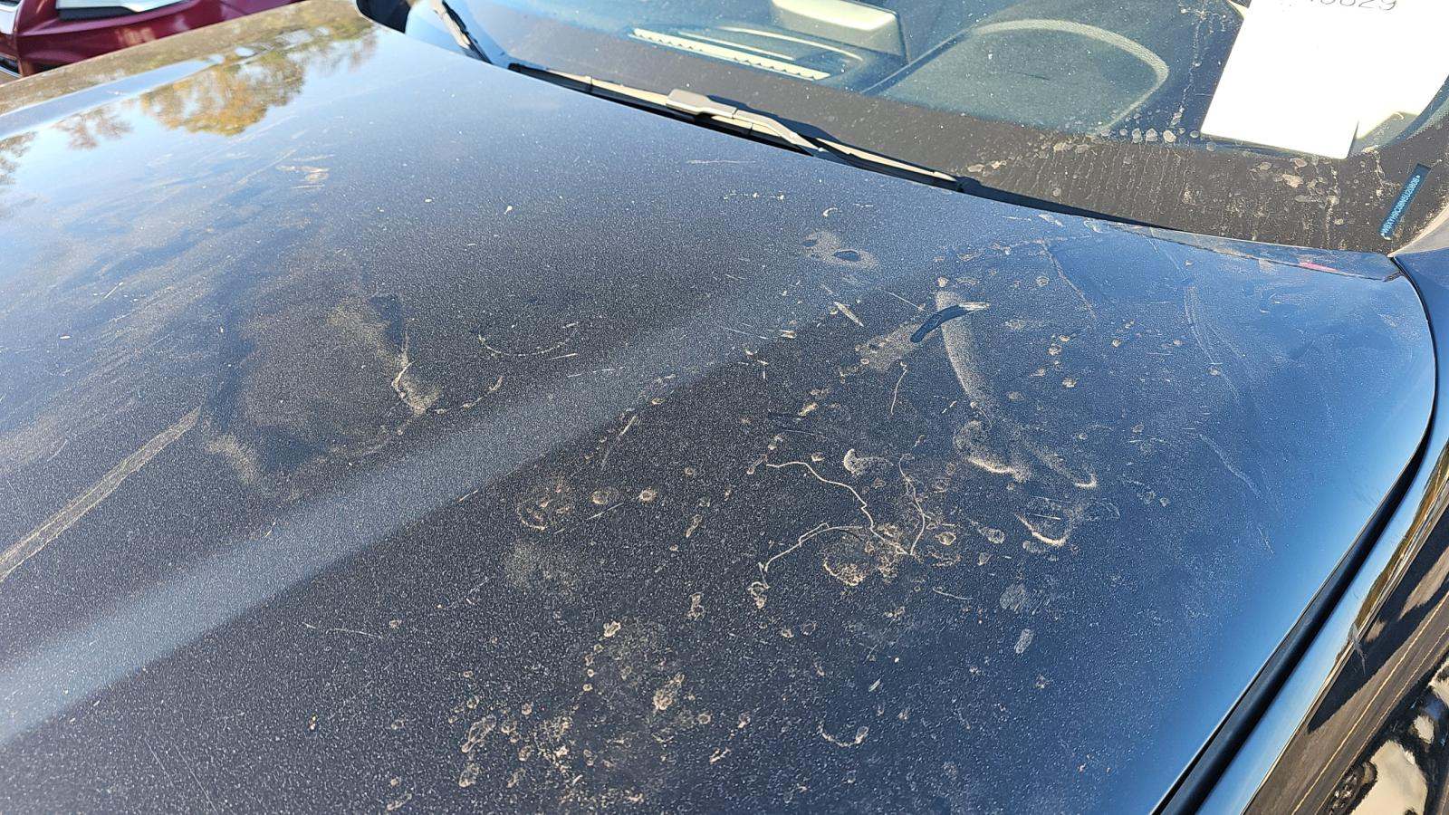 2022 BMW X2 sDrive28i FWD