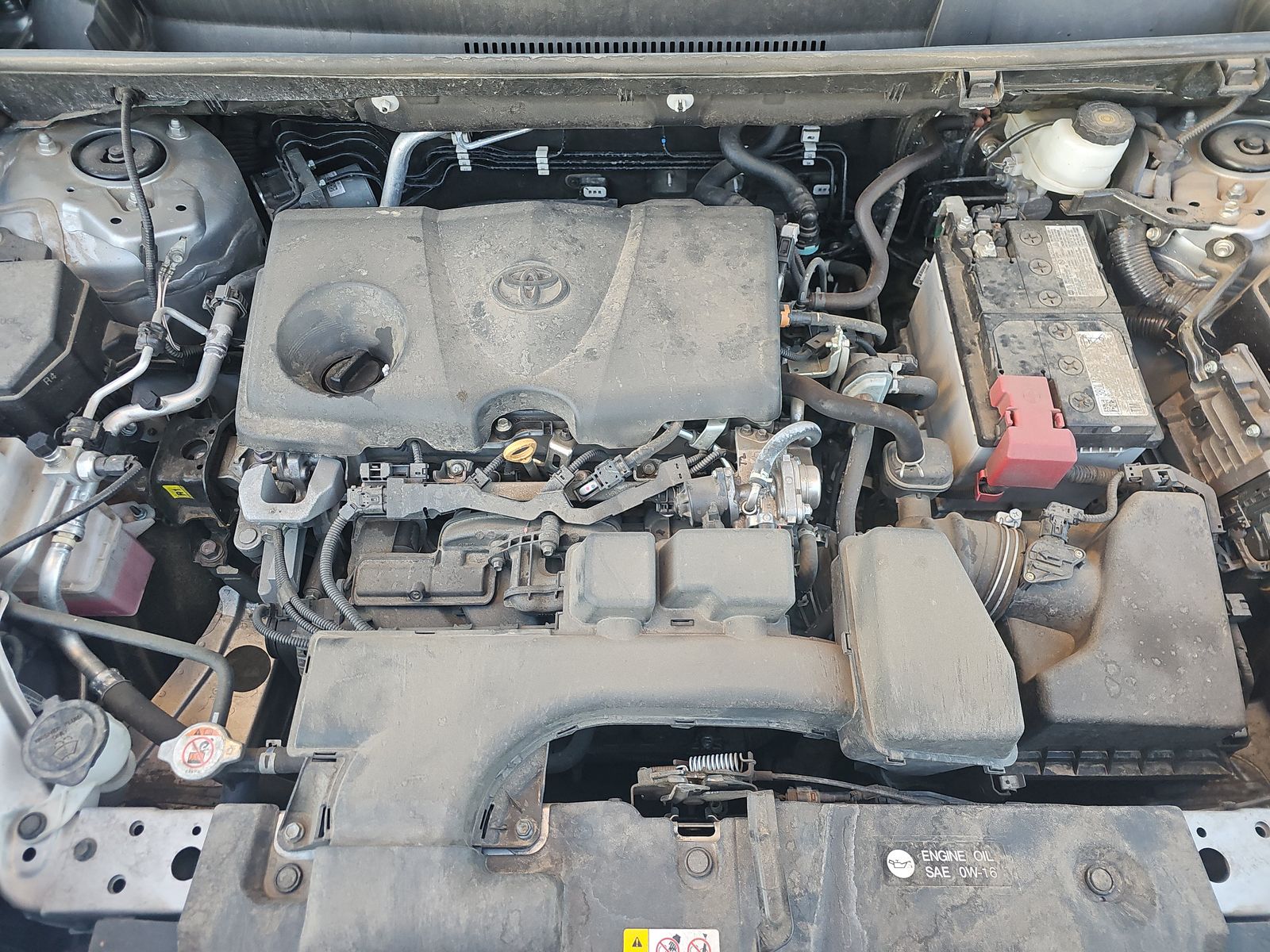 2024 Toyota RAV4 XLE AWD