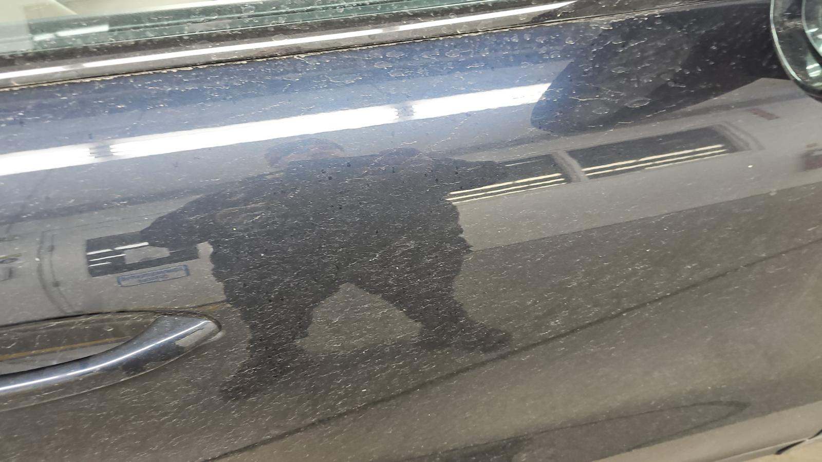 2022 Porsche Cayenne Base AWD