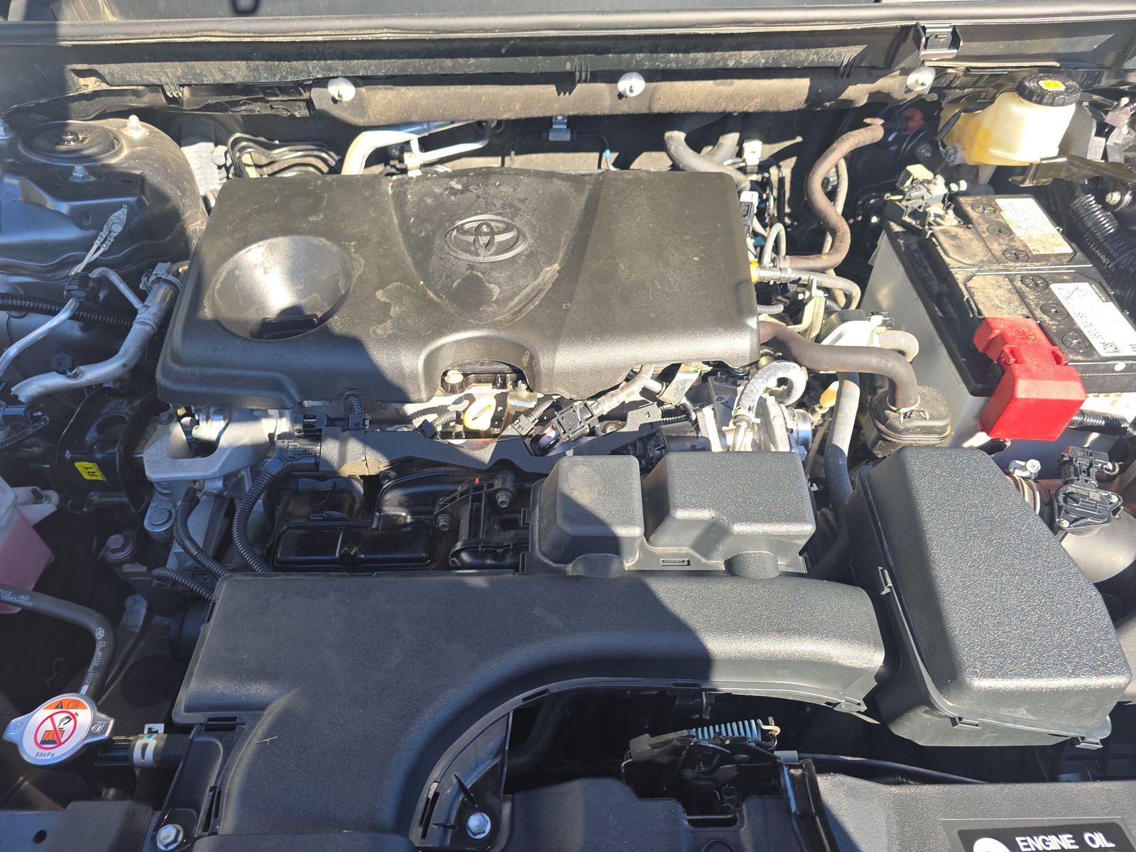 2023 Toyota RAV4 LE AWD