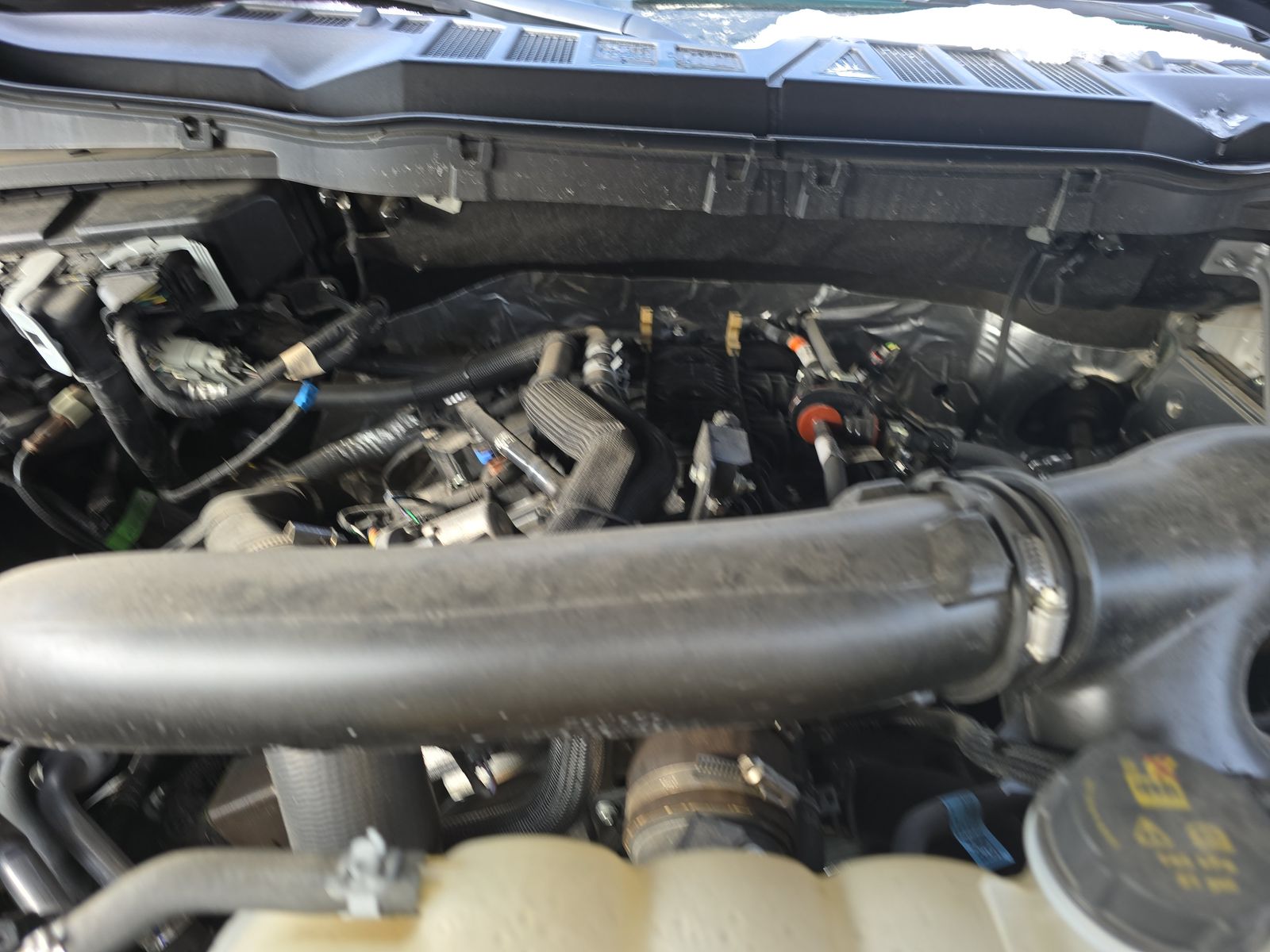 2024 Ford F-150 XLT AWD