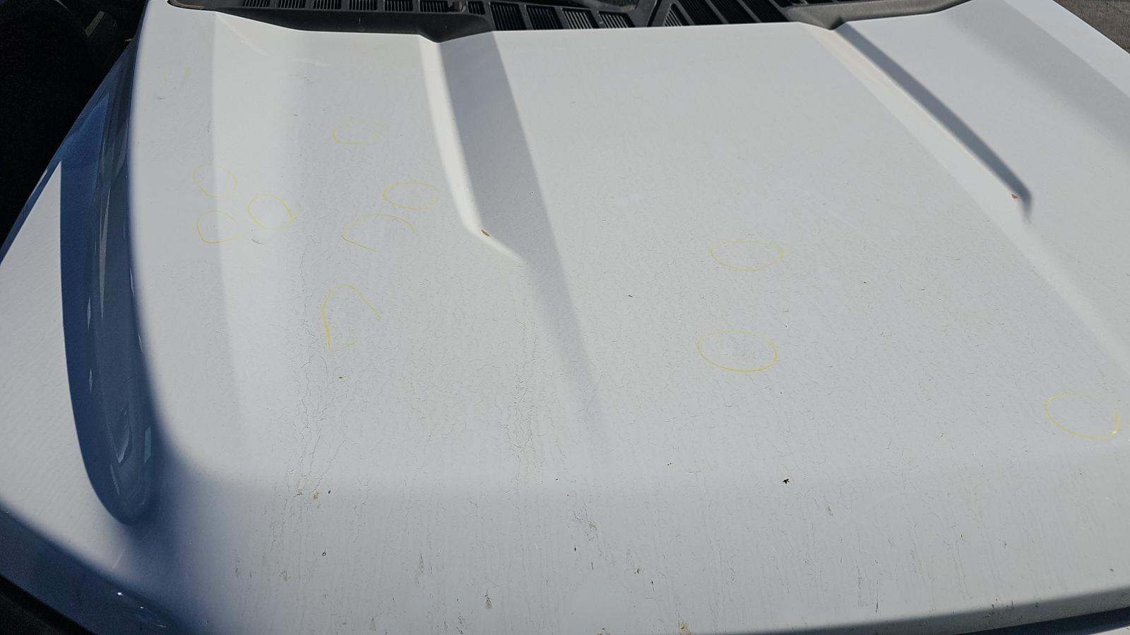 2023 Ford F-150 XL FWD