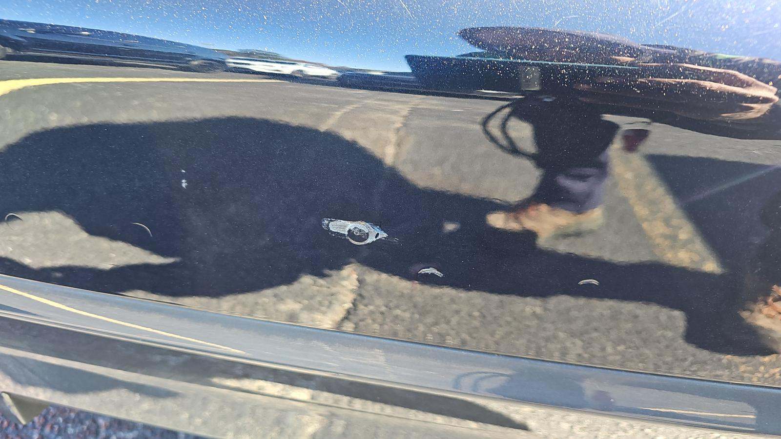 2022 BMW 5 Series M550i xDrive AWD