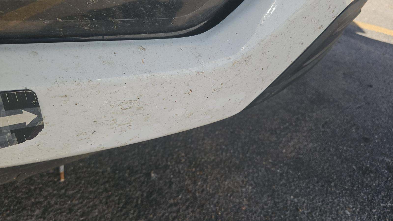 2023 Ford F-150 XL AWD