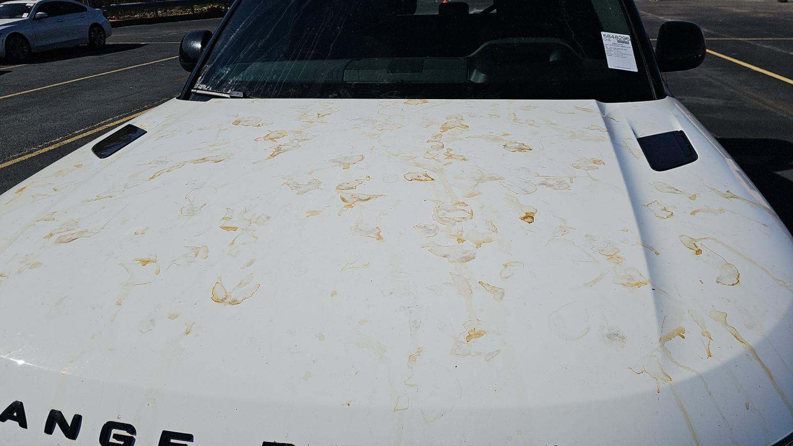 2024 Land Rover Range Rover Sport Dynamic SE AWD