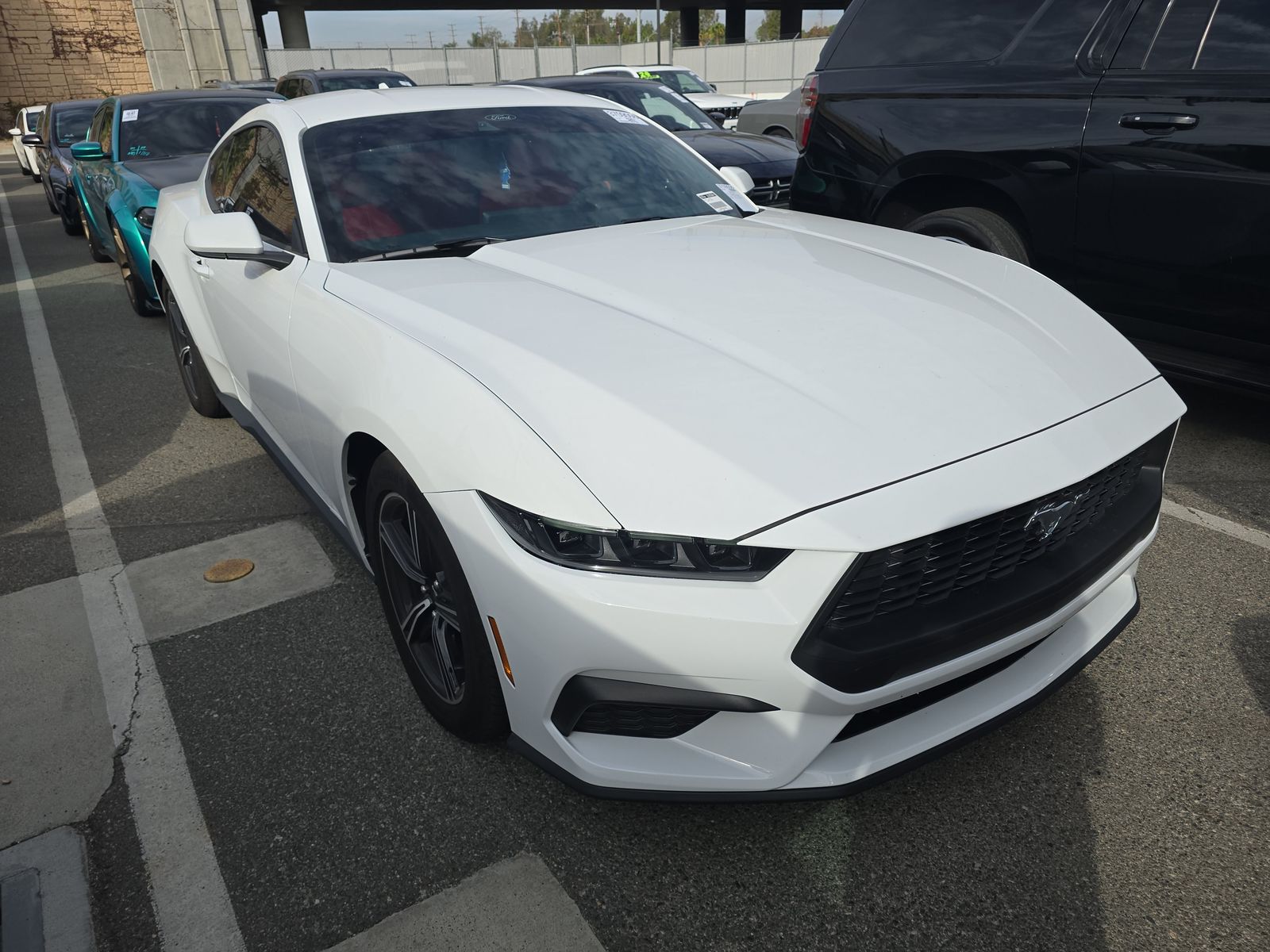 2025 Ford Mustang EcoBoost RWD
