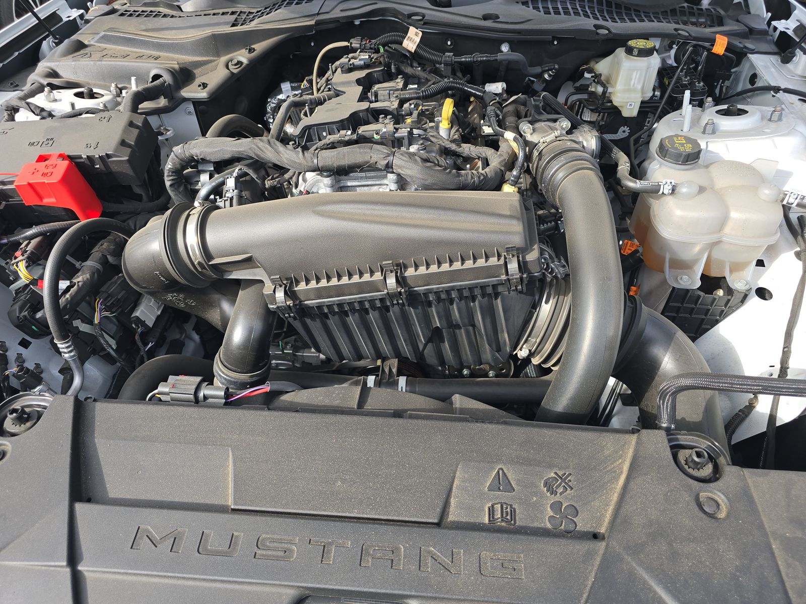 2025 Ford Mustang EcoBoost RWD