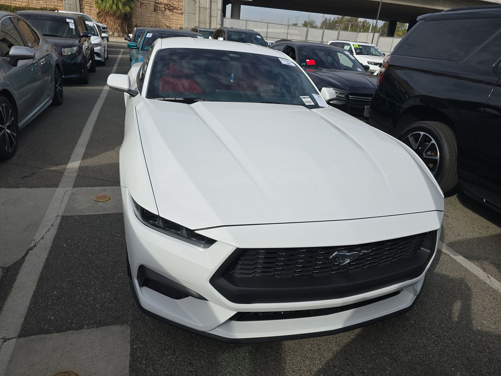 2025 Ford Mustang EcoBoost RWD