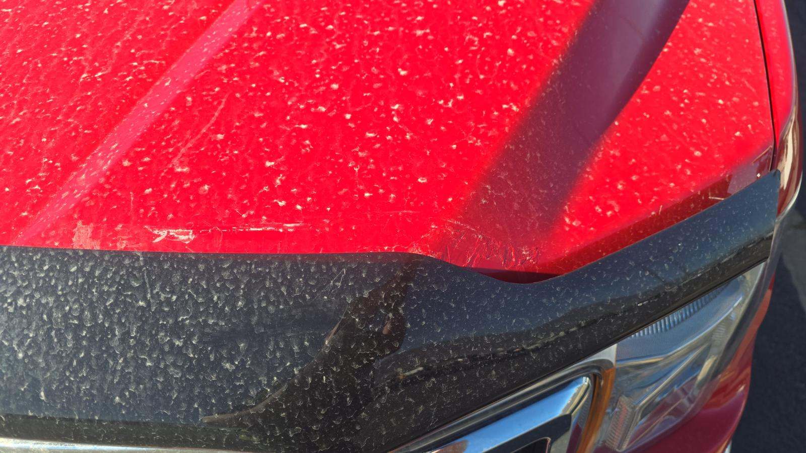 2020 Ford F-150 XLT AWD