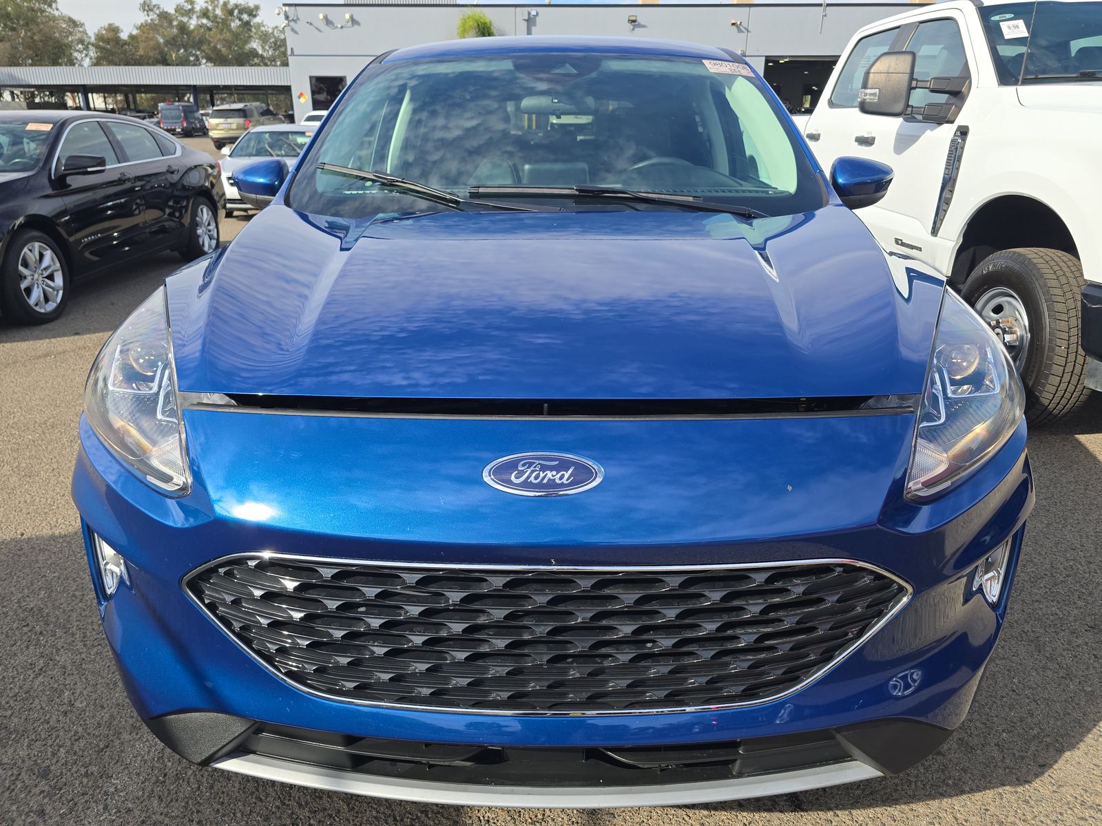 2022 Ford Escape Hybrid SEL FWD