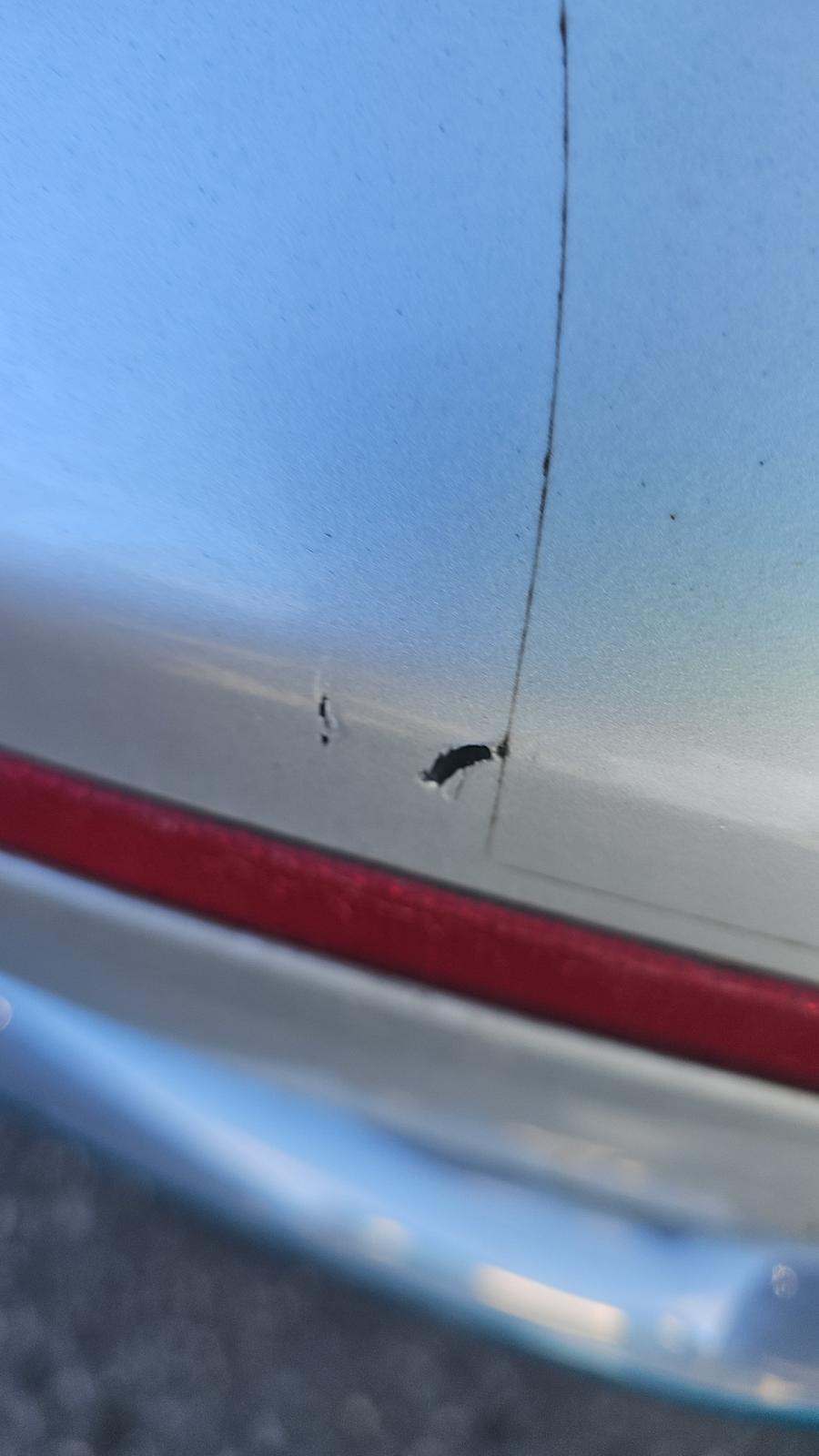 2019 Kia Niro PHEV EX FWD