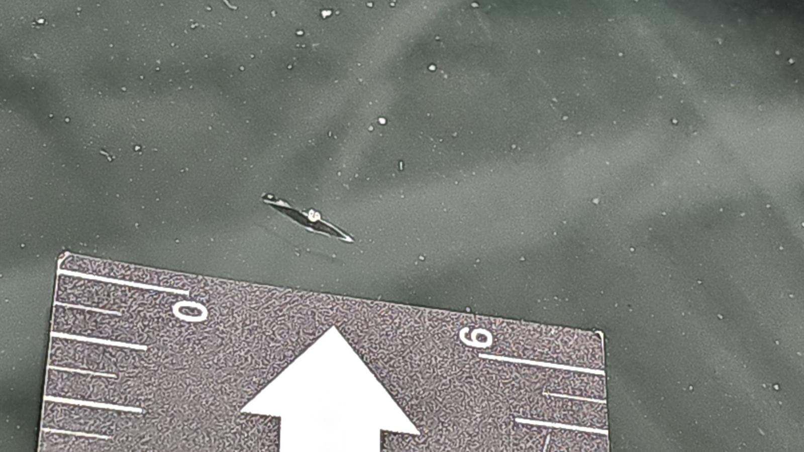 2022 Chevrolet Silverado 1500 LT AWD