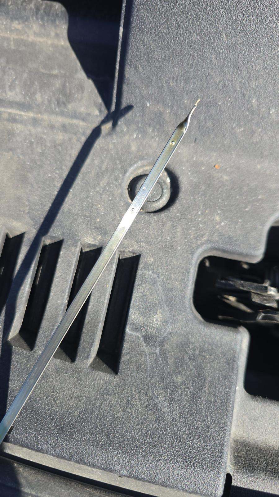 2024 Toyota Camry SE FWD