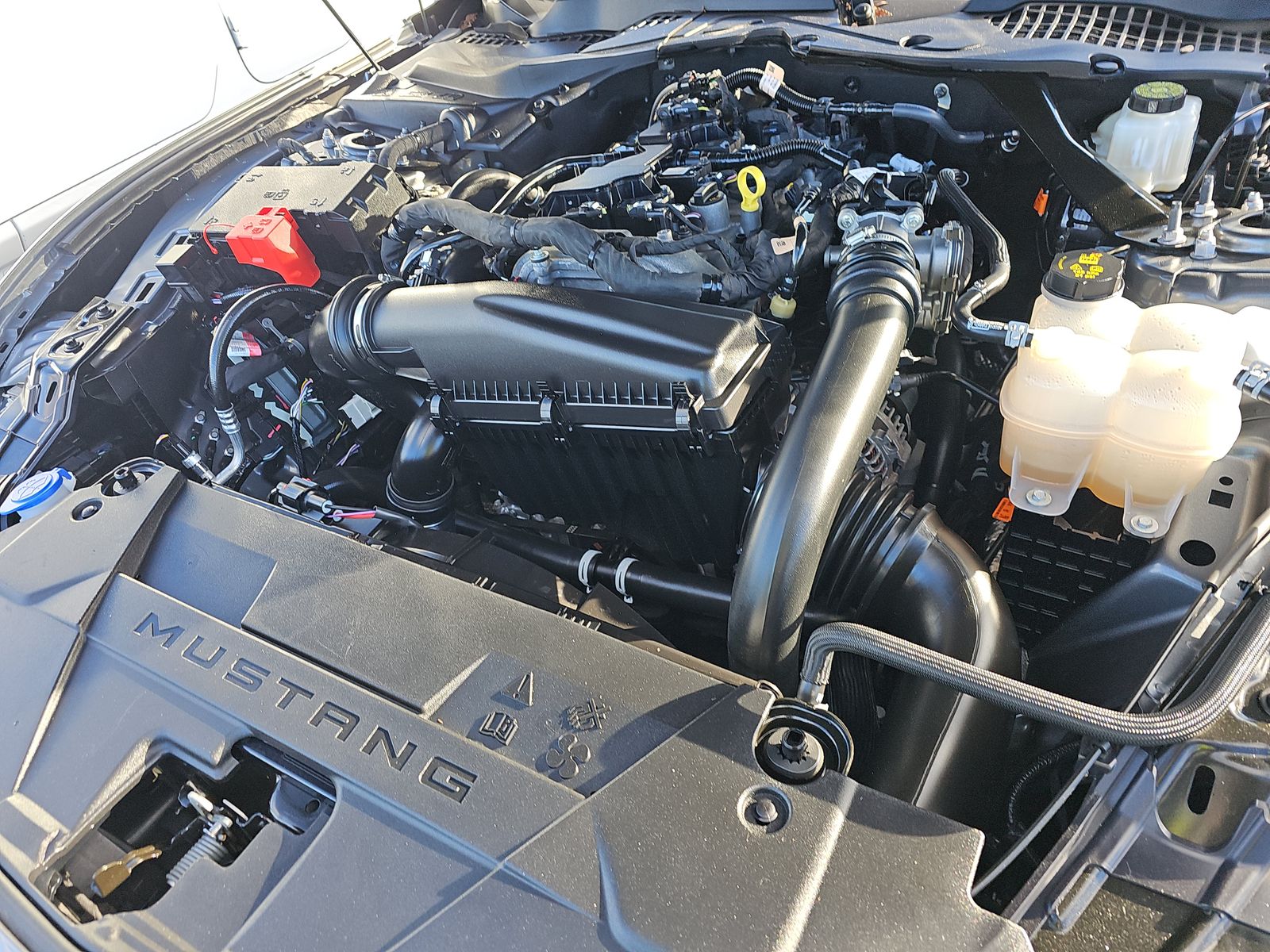 2024 Ford Mustang EcoBoost Premium RWD