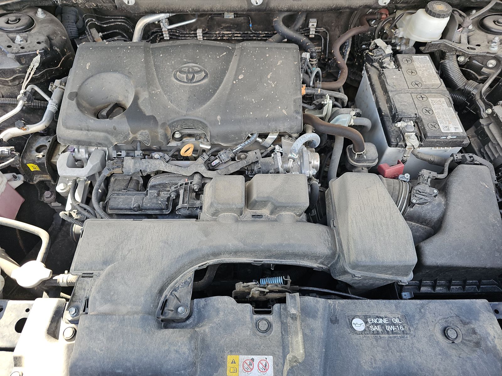 2023 Toyota RAV4 XLE FWD