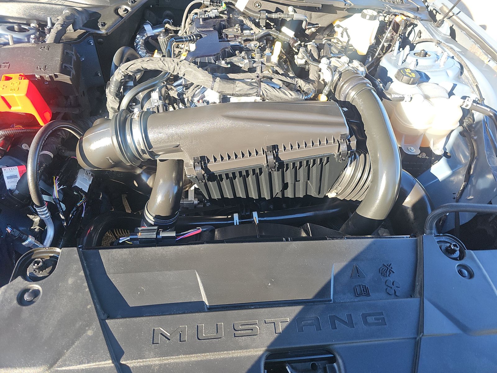 2024 Ford Mustang EcoBoost RWD