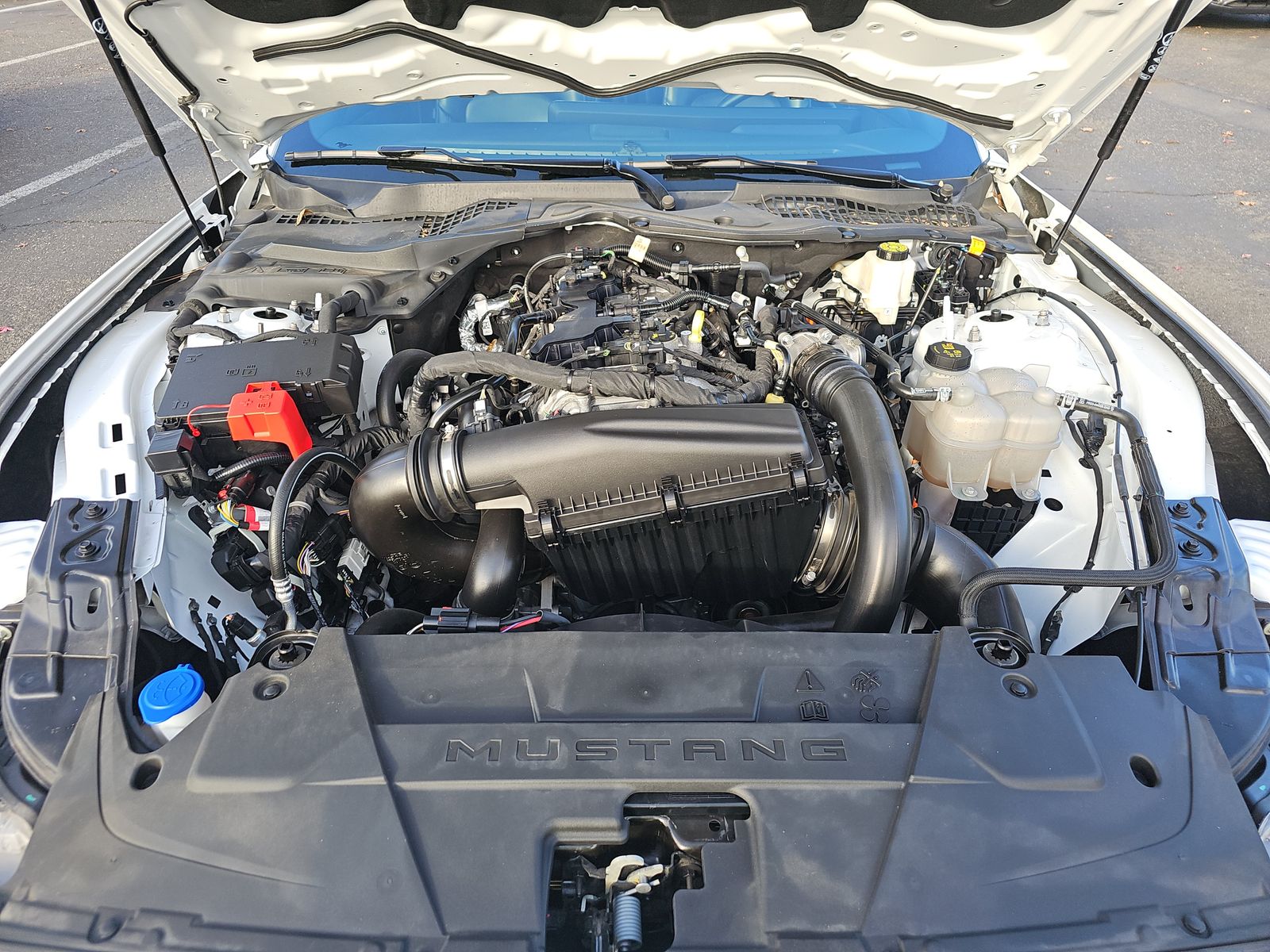 2024 Ford Mustang EcoBoost Premium RWD