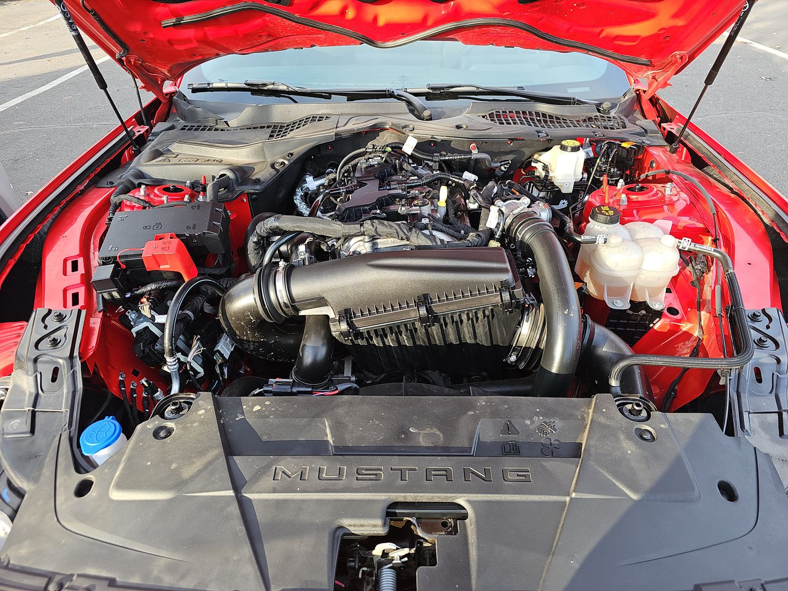 2024 Ford Mustang EcoBoost RWD